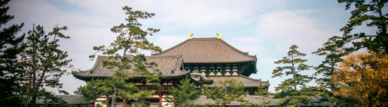 Hikari Dalo